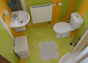 Přízemí bezbariérový pokoj - sprcha, WC